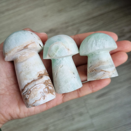 Caribbean Calcite mushrooms