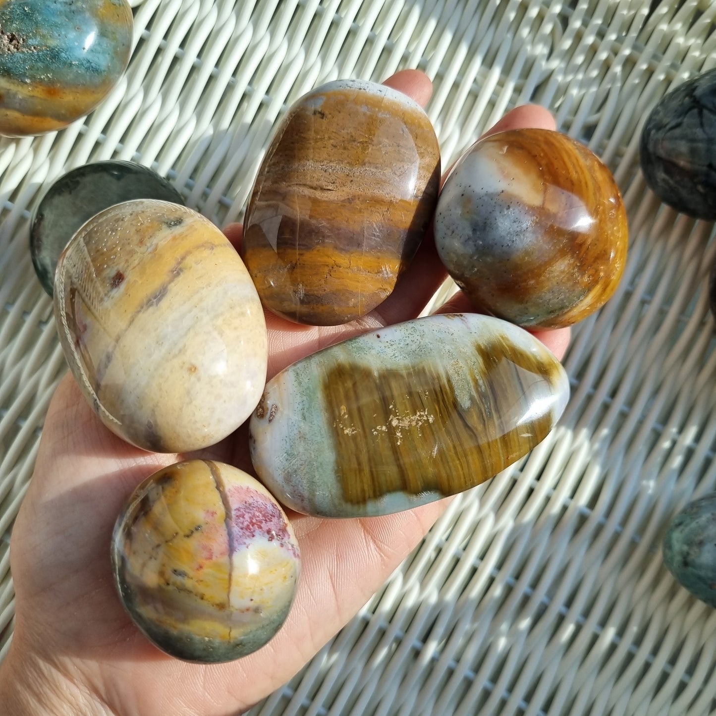 Ocean Jaspers Palmstones