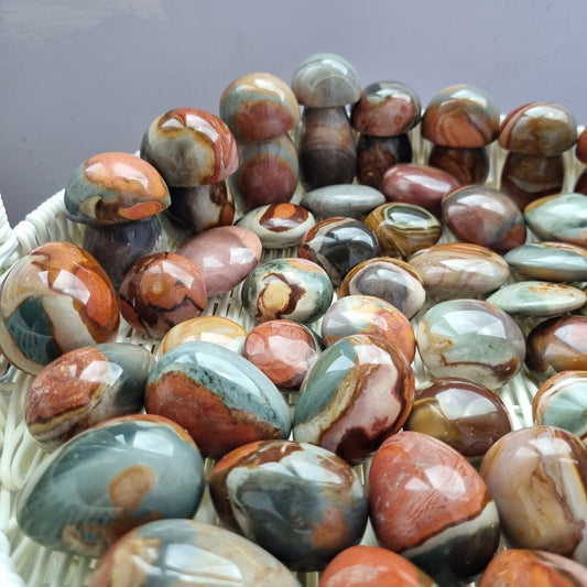Polychrome Jaspers Mushrooms
