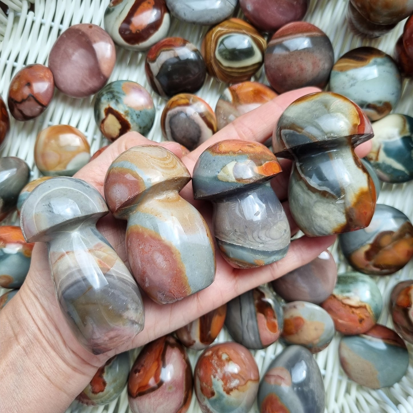 Polychrome Jaspers Mushrooms