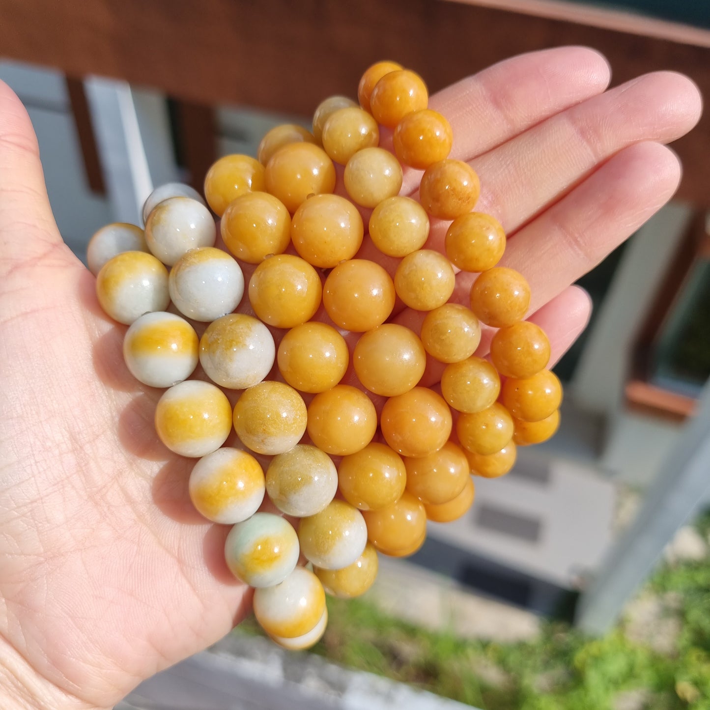 Yellow jadeite bracelets ( Heat treated )